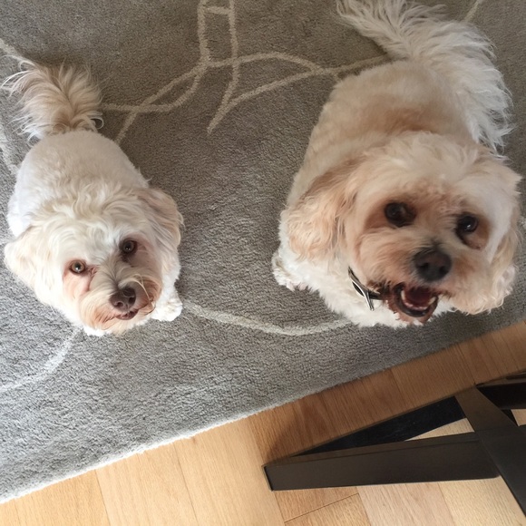 MEET YOUR POSHER - Picture 5 of 5